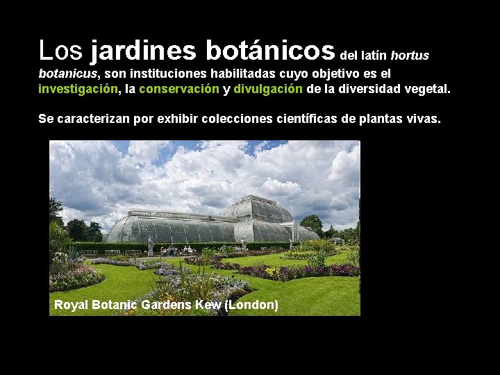 Los jardines botánicos del latín hortus botanicus, son instituciones habilitadas cuyo objetivo es el