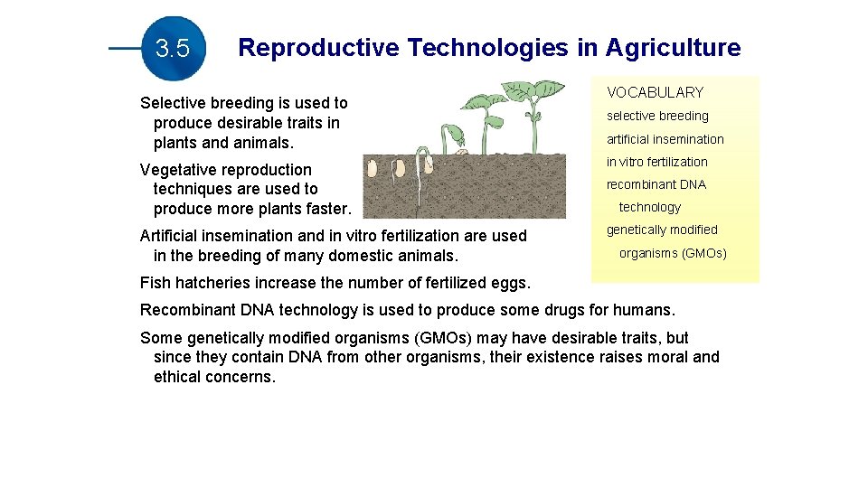 3. 5 Reproductive Technologies in Agriculture Selective breeding is used to produce desirable traits