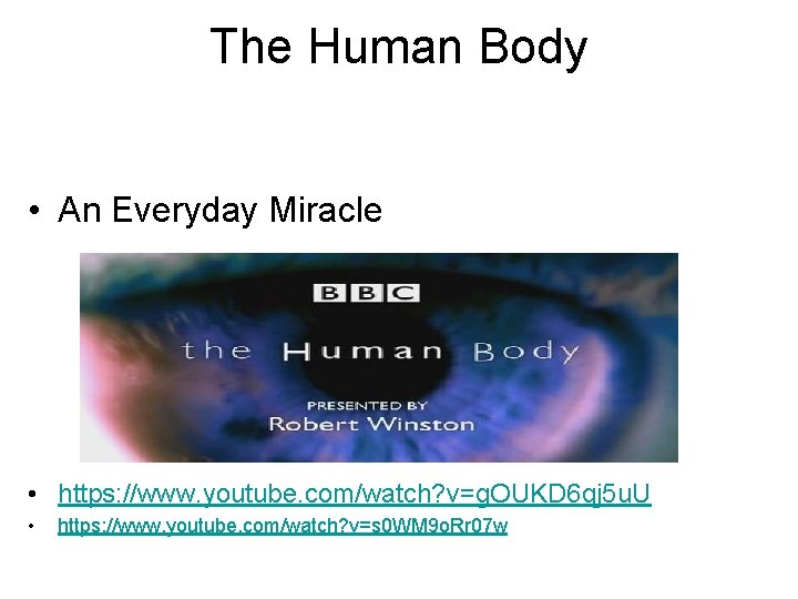 The Human Body • An Everyday Miracle • https: //www. youtube. com/watch? v=g. OUKD