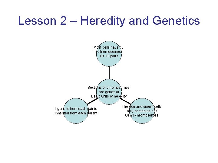 Lesson 2 – Heredity and Genetics Most cells have 46 Chromosomes Or 23 pairs