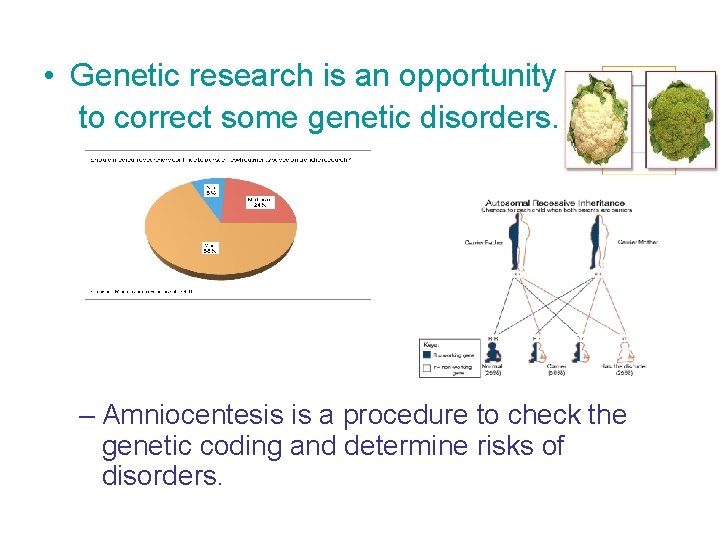  • Genetic research is an opportunity to correct some genetic disorders. – Amniocentesis
