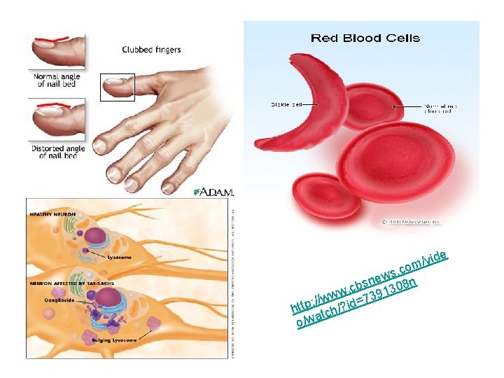 e vid / m. co s w e bsn 1308 n c. w w