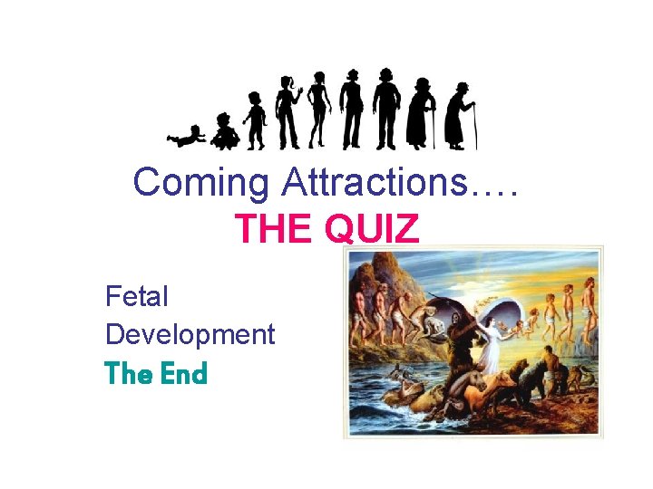 Coming Attractions…. THE QUIZ Fetal Development The End 