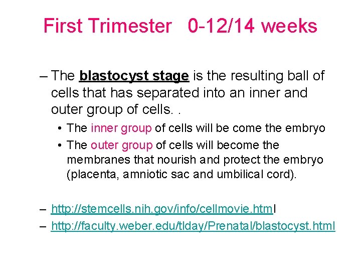 First Trimester 0 -12/14 weeks – The blastocyst stage is the resulting ball of