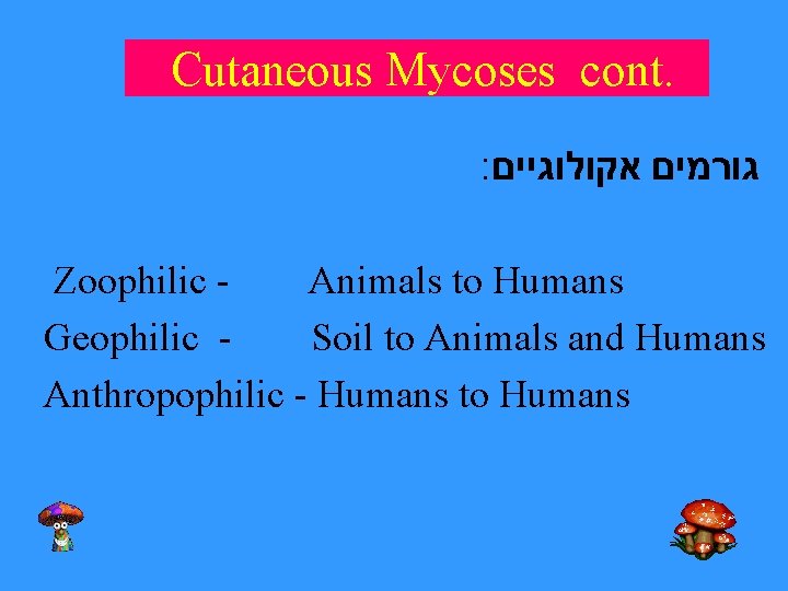 Cutaneous Mycoses cont. : גורמים אקולוגיים Zoophilic Animals to Humans Geophilic Soil to Animals