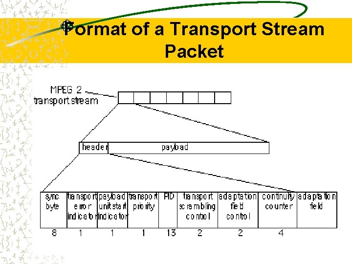 Format of a Transport Stream Packet 