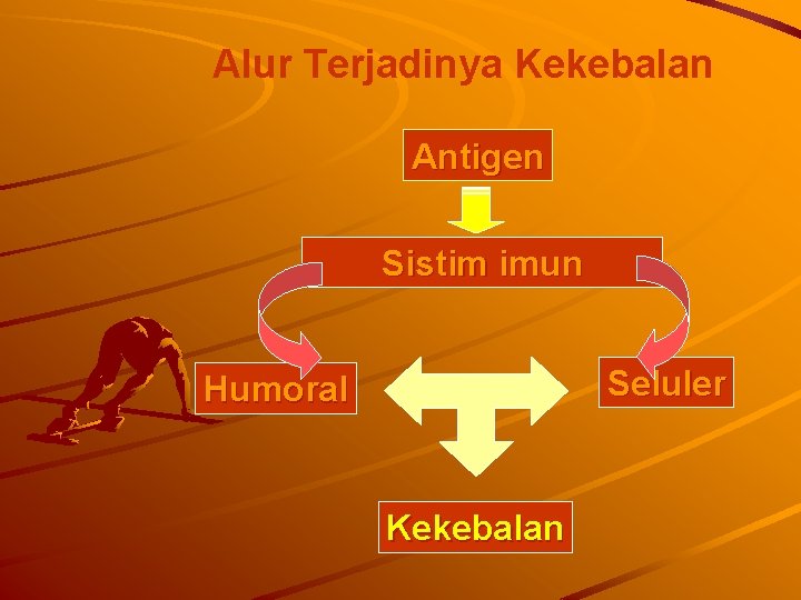 Alur Terjadinya Kekebalan Antigen Sistim imun Seluler Humoral Kekebalan 