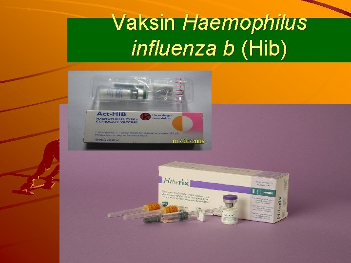 Vaksin Haemophilus influenza b (Hib) 