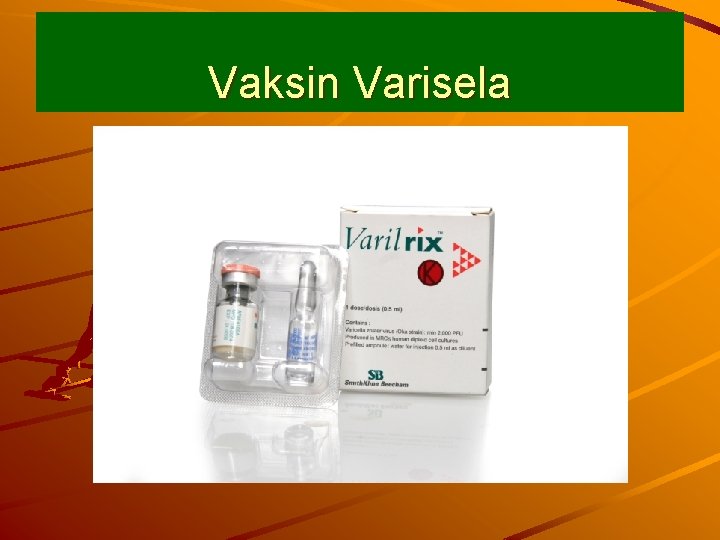 Vaksin Varisela 