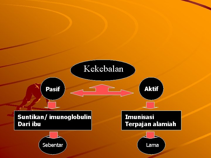 Kekebalan Pasif Suntikan/ imunoglobulin Dari ibu Sebentar Aktif Imunisasi Terpajan alamiah Lama 