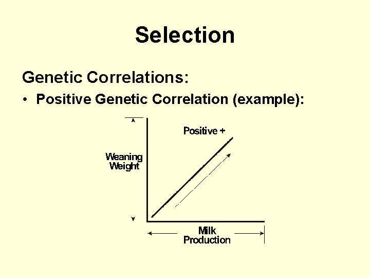 Selection Genetic Correlations: • Positive Genetic Correlation (example): 