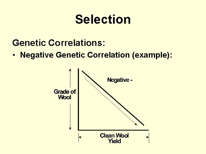 Selection Genetic Correlations: • Negative Genetic Correlation (example): 