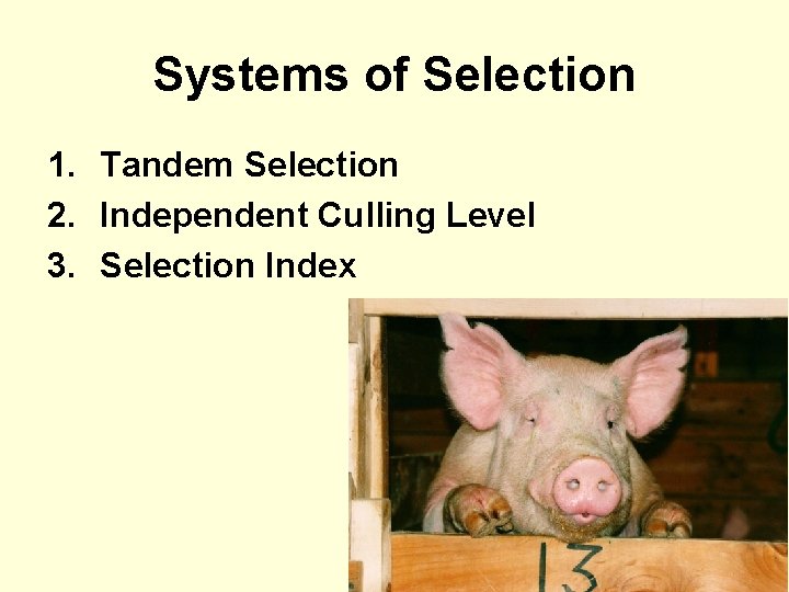 Systems of Selection 1. Tandem Selection 2. Independent Culling Level 3. Selection Index 