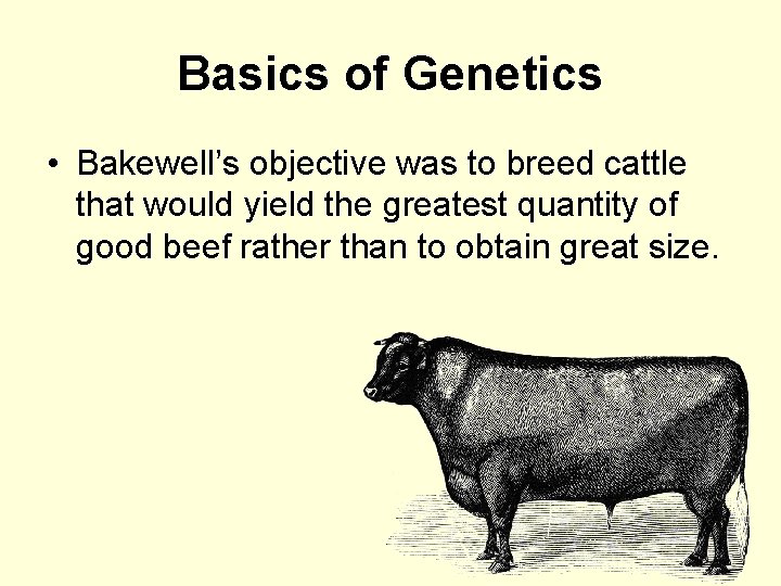 Basics of Genetics • Bakewell’s objective was to breed cattle that would yield the