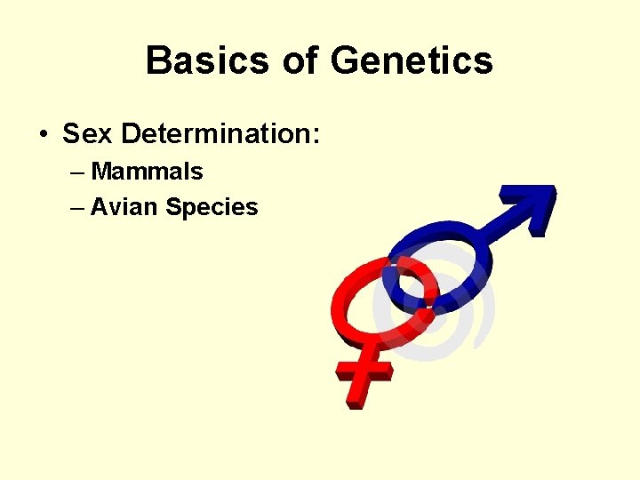 Basics of Genetics • Sex Determination: – Mammals – Avian Species 