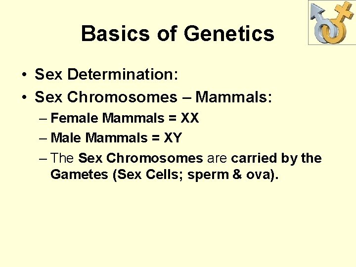 Basics of Genetics • Sex Determination: • Sex Chromosomes – Mammals: – Female Mammals