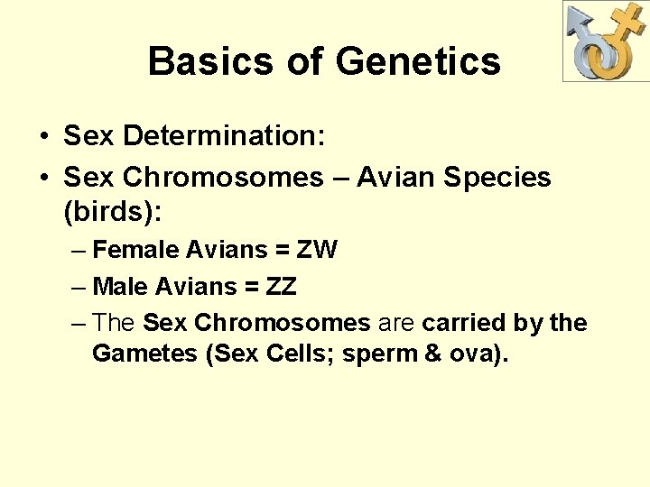 Basics of Genetics • Sex Determination: • Sex Chromosomes – Avian Species (birds): –