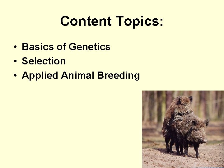 Content Topics: • Basics of Genetics • Selection • Applied Animal Breeding 