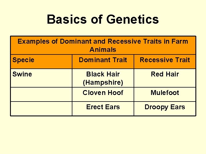 Basics of Genetics Examples of Dominant and Recessive Traits in Farm Animals Specie Dominant