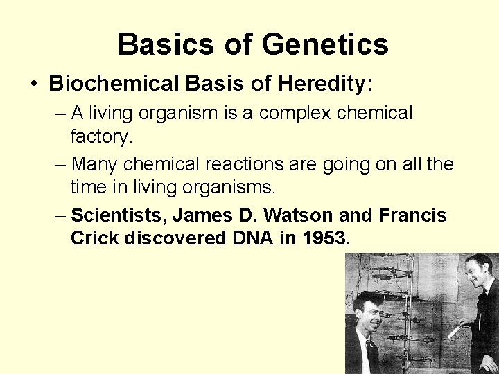 Basics of Genetics • Biochemical Basis of Heredity: – A living organism is a