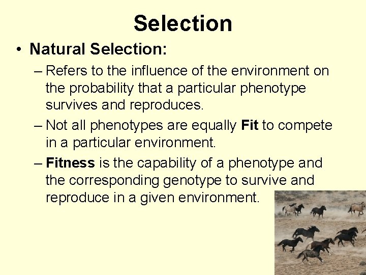 Selection • Natural Selection: – Refers to the influence of the environment on the