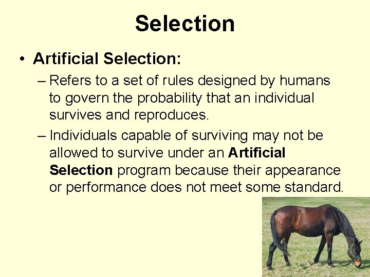 Selection • Artificial Selection: – Refers to a set of rules designed by humans