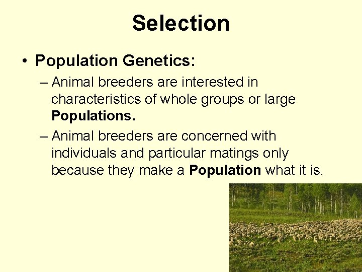 Selection • Population Genetics: – Animal breeders are interested in characteristics of whole groups