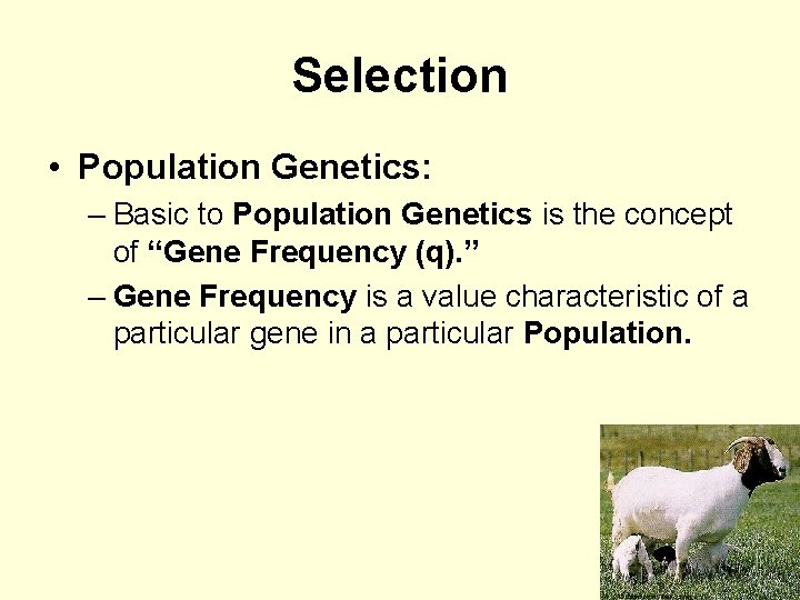 Selection • Population Genetics: – Basic to Population Genetics is the concept of “Gene