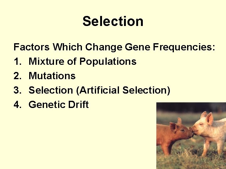 Selection Factors Which Change Gene Frequencies: 1. Mixture of Populations 2. Mutations 3. Selection