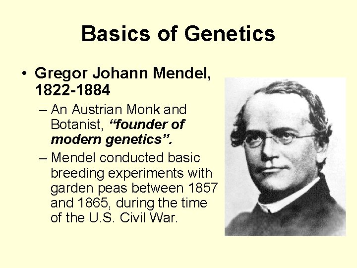 Basics of Genetics • Gregor Johann Mendel, 1822 -1884 – An Austrian Monk and