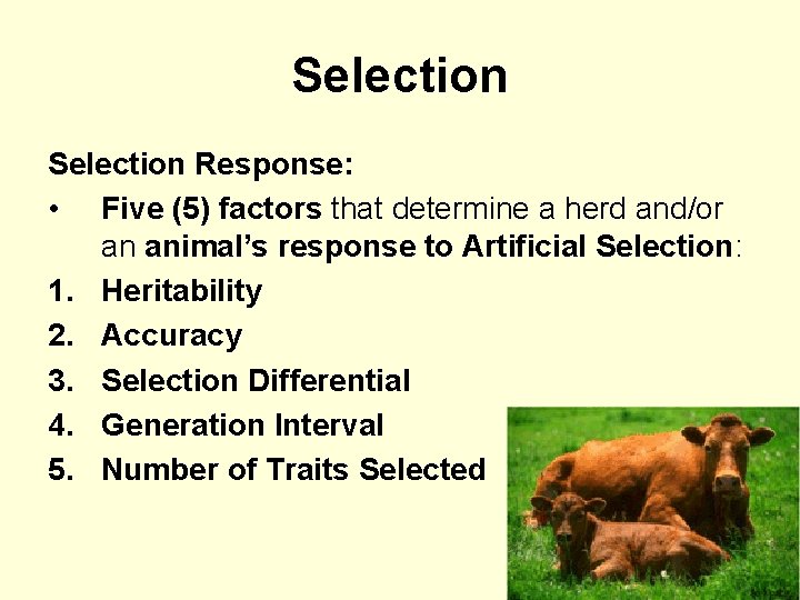 Selection Response: • Five (5) factors that determine a herd and/or an animal’s response