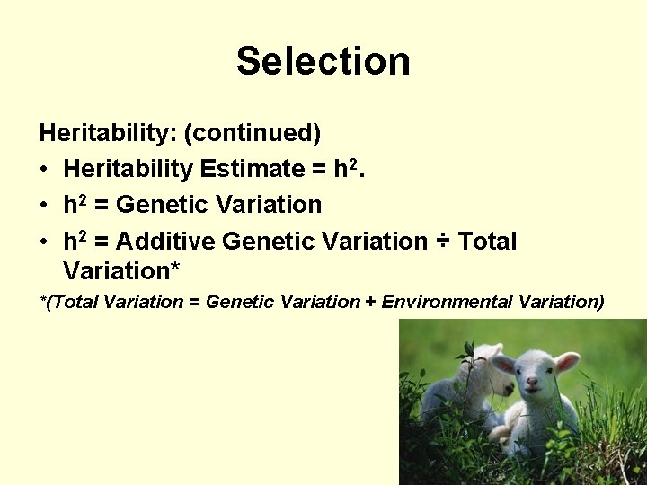 Selection Heritability: (continued) • Heritability Estimate = h 2. • h 2 = Genetic