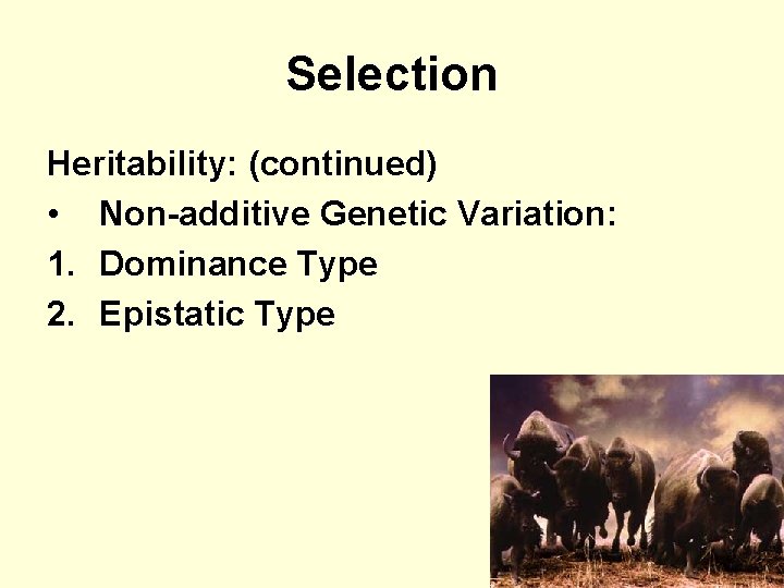 Selection Heritability: (continued) • Non-additive Genetic Variation: 1. Dominance Type 2. Epistatic Type 