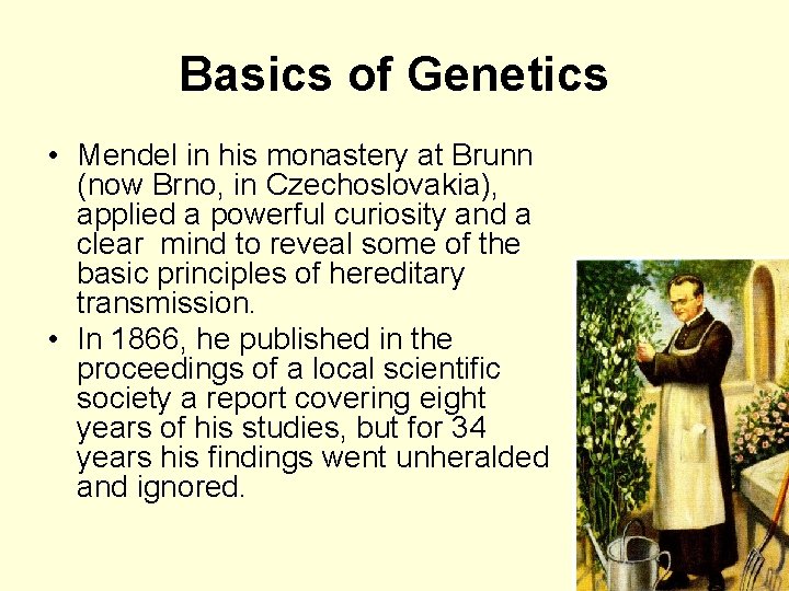 Basics of Genetics • Mendel in his monastery at Brunn (now Brno, in Czechoslovakia),