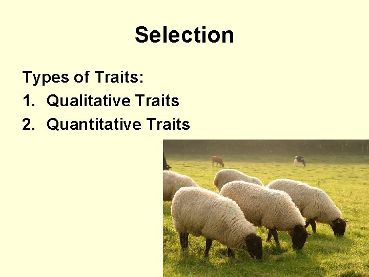 Selection Types of Traits: 1. Qualitative Traits 2. Quantitative Traits 