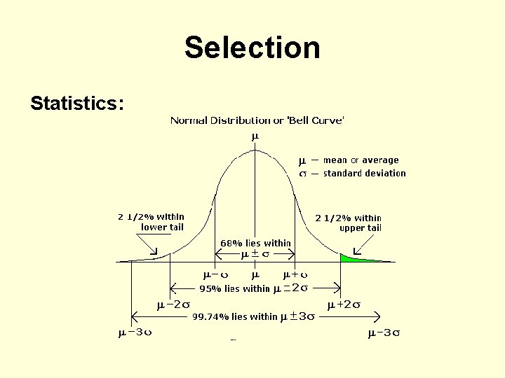 Selection Statistics: 