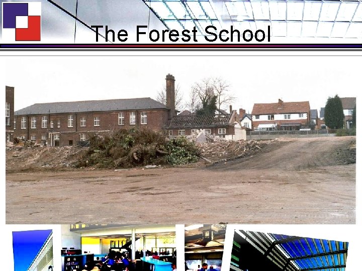 The Forest School 