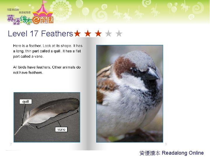 Level 17 Feathers★ ★ ★ 資優讀本 Readalong Online 