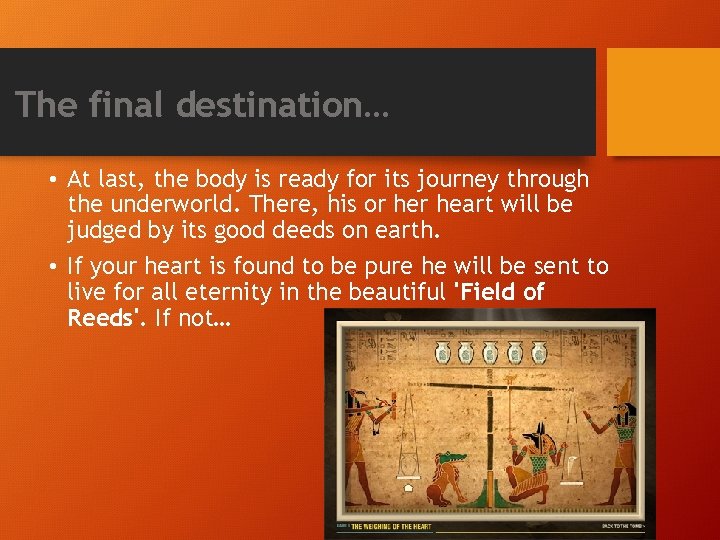 The final destination… • At last, the body is ready for its journey through