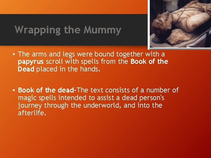Wrapping the Mummy • The arms and legs were bound together with a papyrus