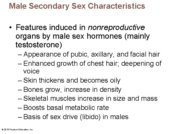 Male Secondary Sex Characteristics • Features induced in nonreproductive organs by male sex hormones