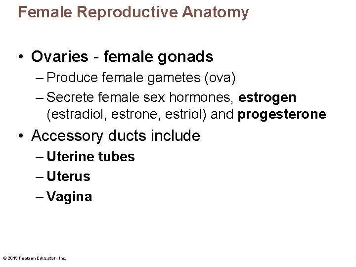 Female Reproductive Anatomy • Ovaries - female gonads – Produce female gametes (ova) –