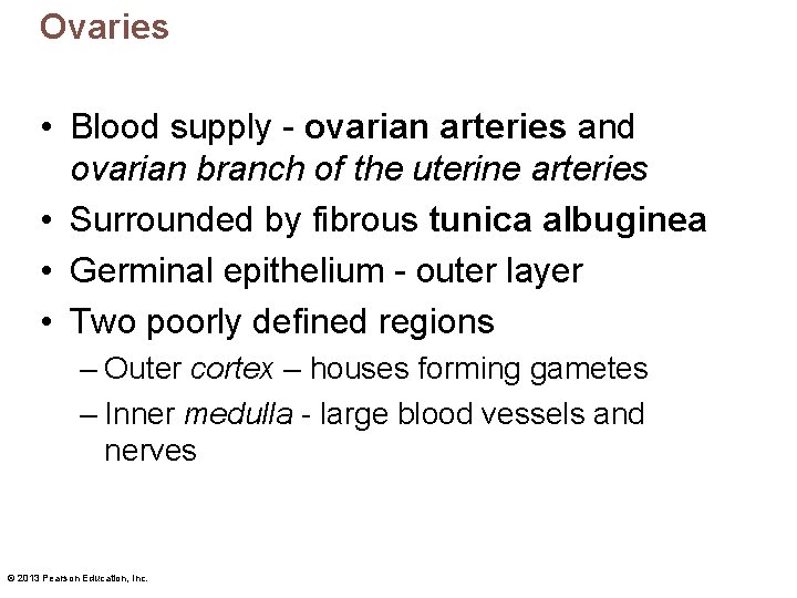 Ovaries • Blood supply - ovarian arteries and ovarian branch of the uterine arteries