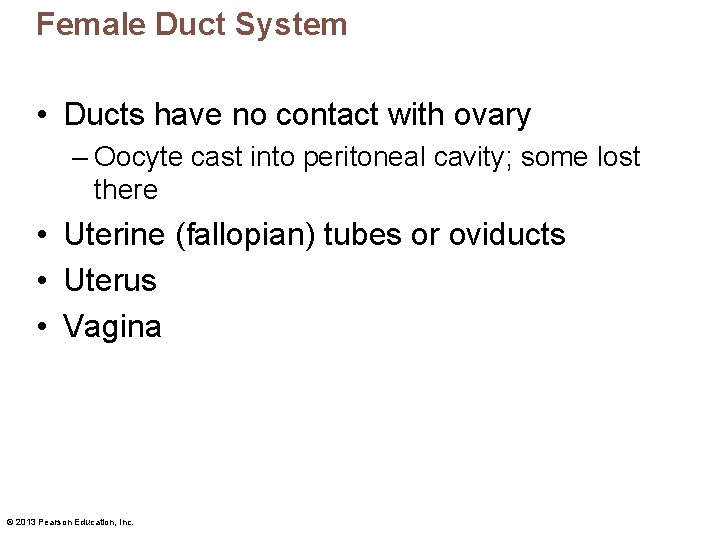 Female Duct System • Ducts have no contact with ovary – Oocyte cast into