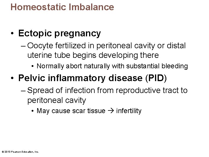 Homeostatic Imbalance • Ectopic pregnancy – Oocyte fertilized in peritoneal cavity or distal uterine