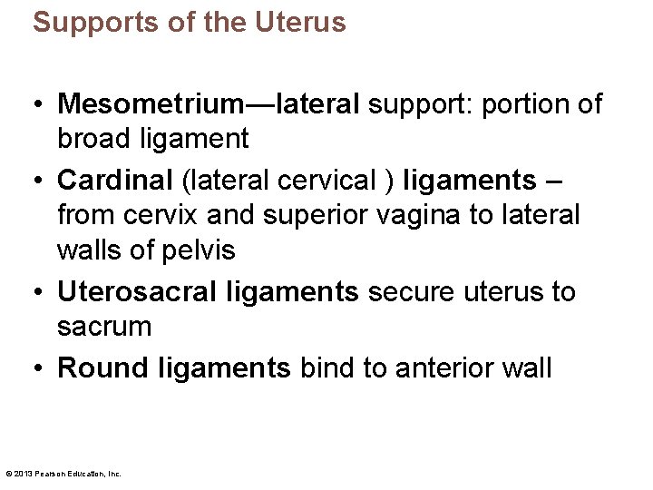 Supports of the Uterus • Mesometrium—lateral support: portion of broad ligament • Cardinal (lateral