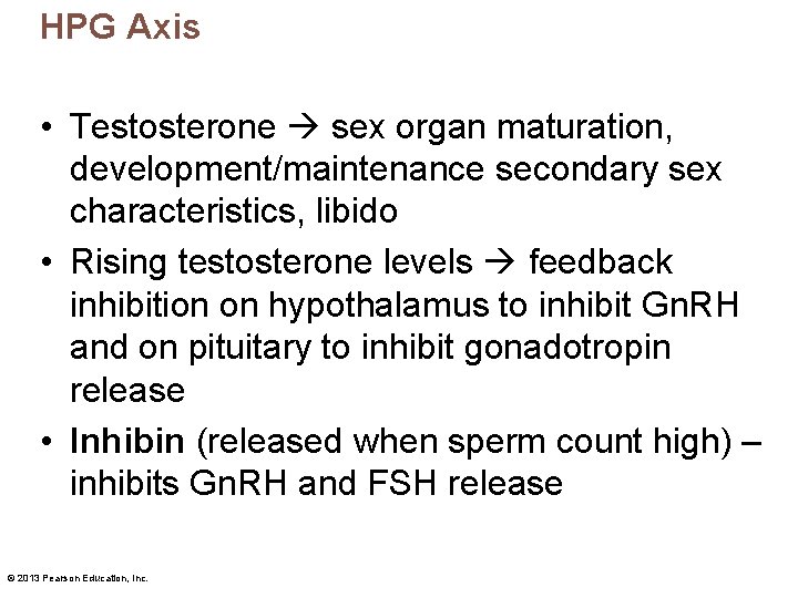 HPG Axis • Testosterone sex organ maturation, development/maintenance secondary sex characteristics, libido • Rising