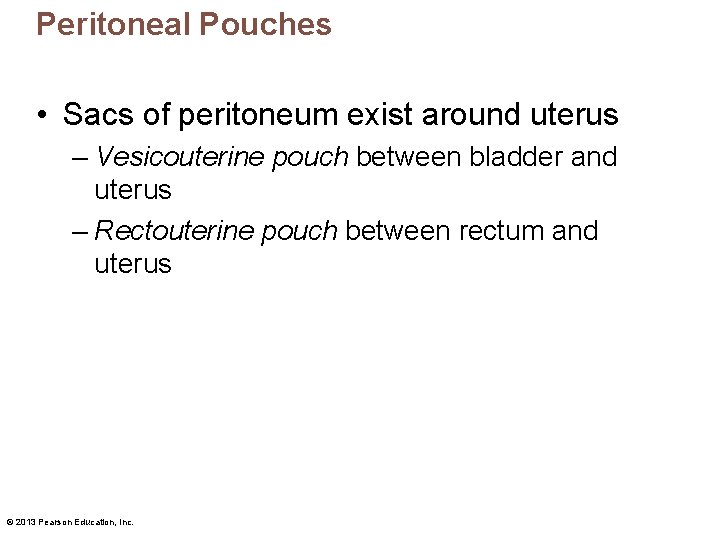 Peritoneal Pouches • Sacs of peritoneum exist around uterus – Vesicouterine pouch between bladder