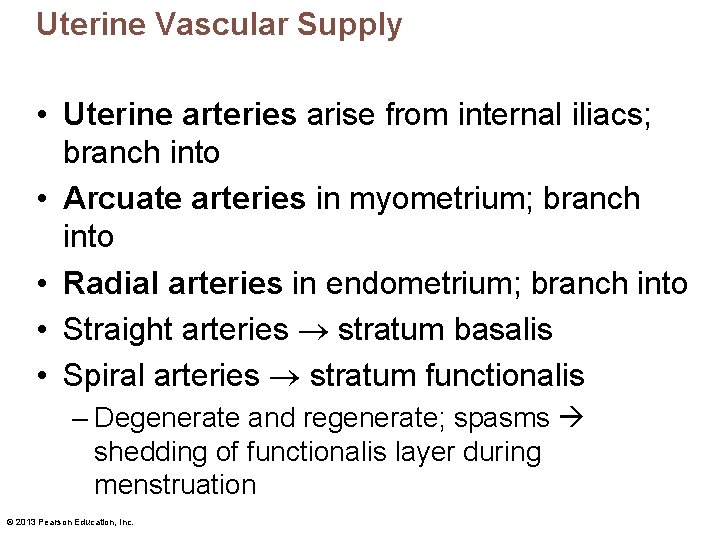 Uterine Vascular Supply • Uterine arteries arise from internal iliacs; branch into • Arcuate