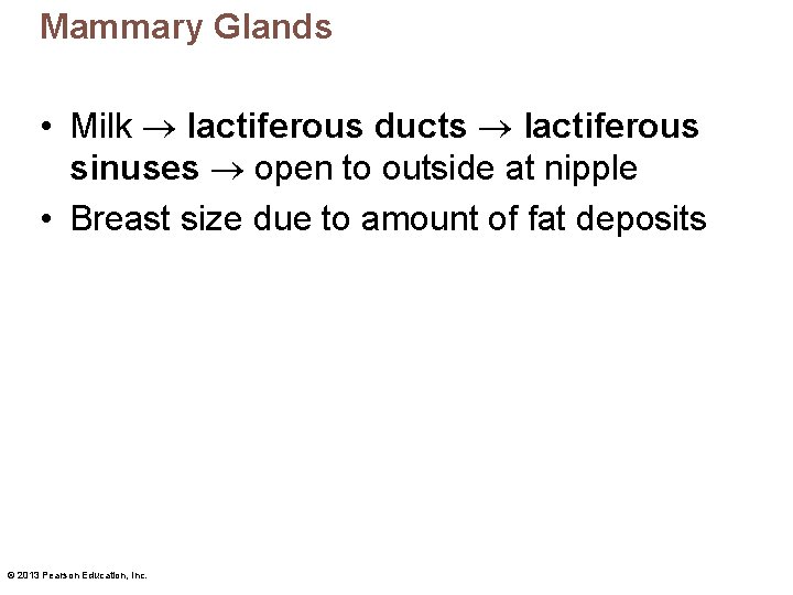 Mammary Glands • Milk lactiferous ducts lactiferous sinuses open to outside at nipple •